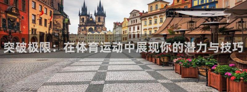 德国尊龙官方正版app集团:突破极限:在体育运动中展现你的潜