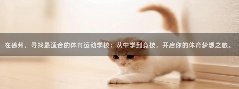 尊龙官网下载平台假的吗是真的吗吗:在徐州,寻找最适合的体育运