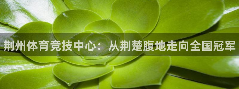 尊龙官网下载注册:荆州体育竞技中心:从荆楚腹地走向全国冠军
