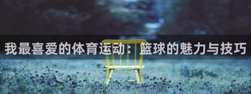 尊龙官网下载招商电话地址查询:我最喜爱的体育运动:篮球的魅力